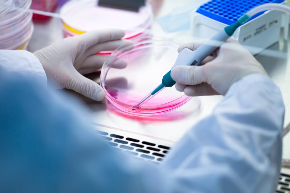 tissue culture