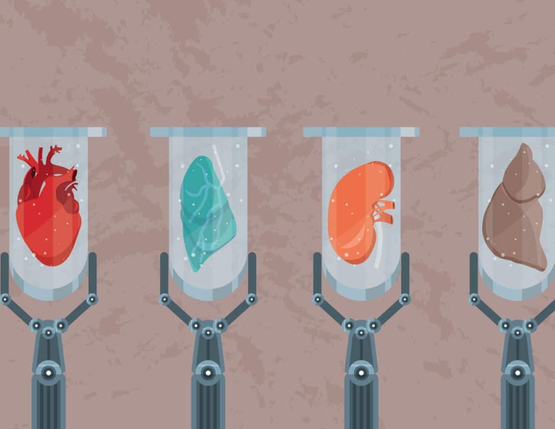 Growing mini organs in the lab