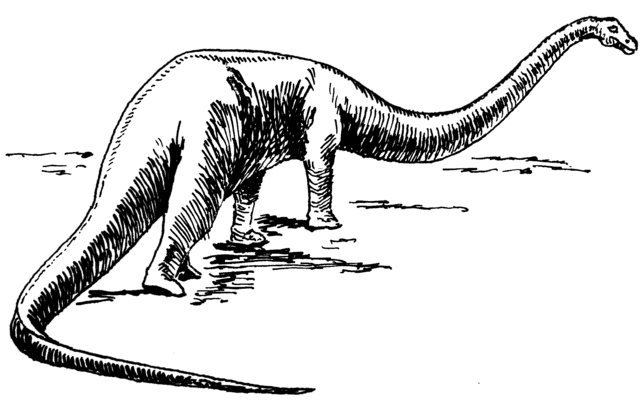 Sauropods