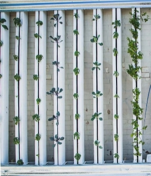 vertical farming