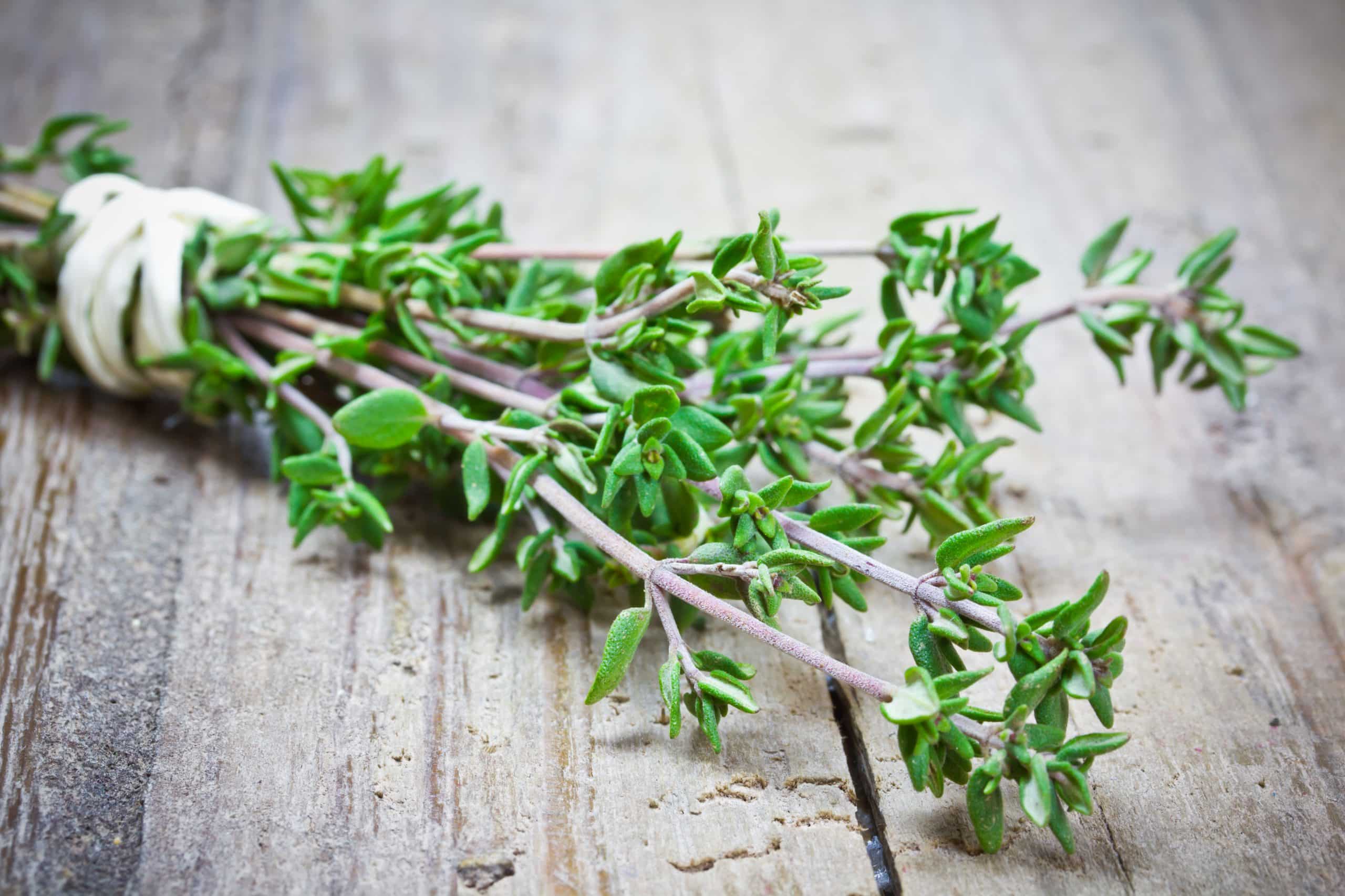 Thyme is especially good when it comes to deterring mosquitoes, earworms, whiteflies, and even maggots