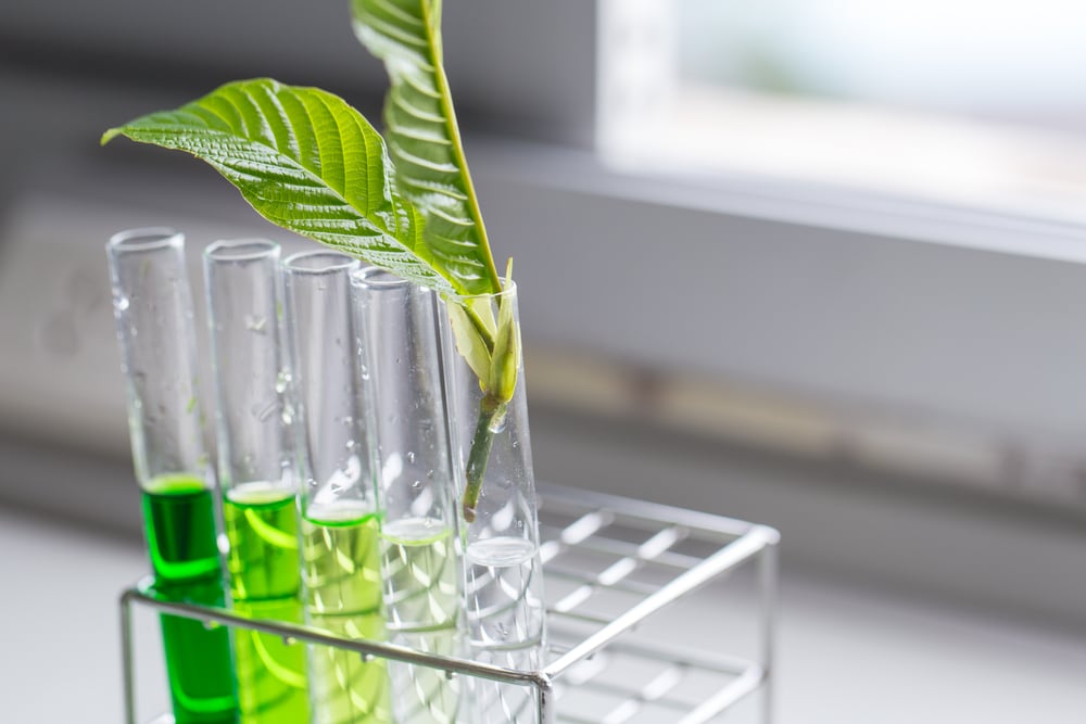 phytochemical and pharmaceutical experiments
