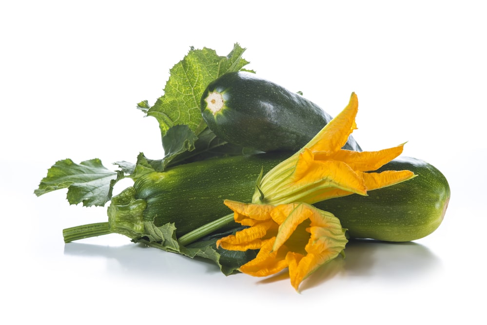 Squash flowers