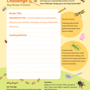 Printable edible insects worksheet