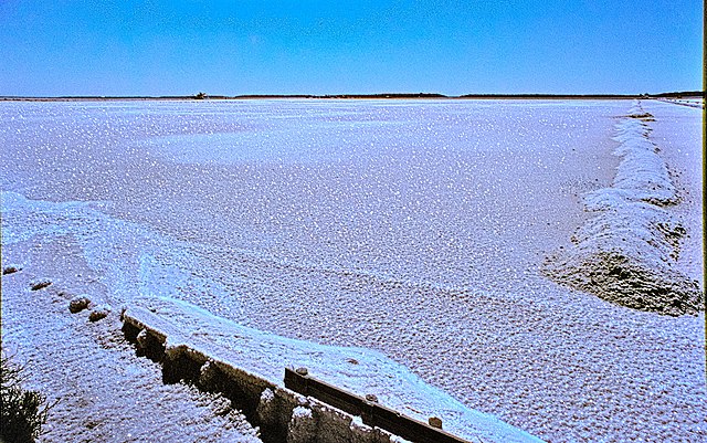 SeaSalt-Basin SalinDeGiraud