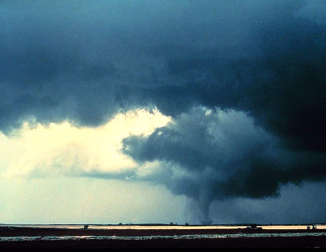 Alfalfa Tornado