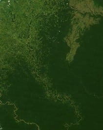 Amazon rainforest 2000