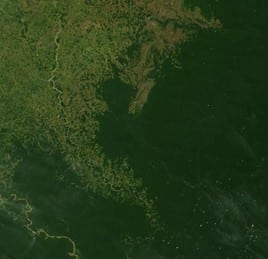 Amazon rainforest in 2017