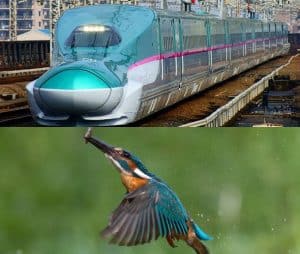 7 Instances Of Nature's Inventiveness Through Biomimicry - Smore Science