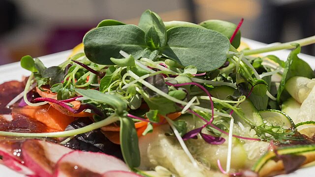 close-up of microgreens