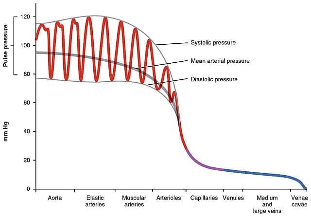 Systemic_Blood_Pressure