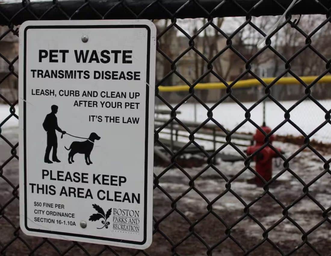 diligent poop patrol