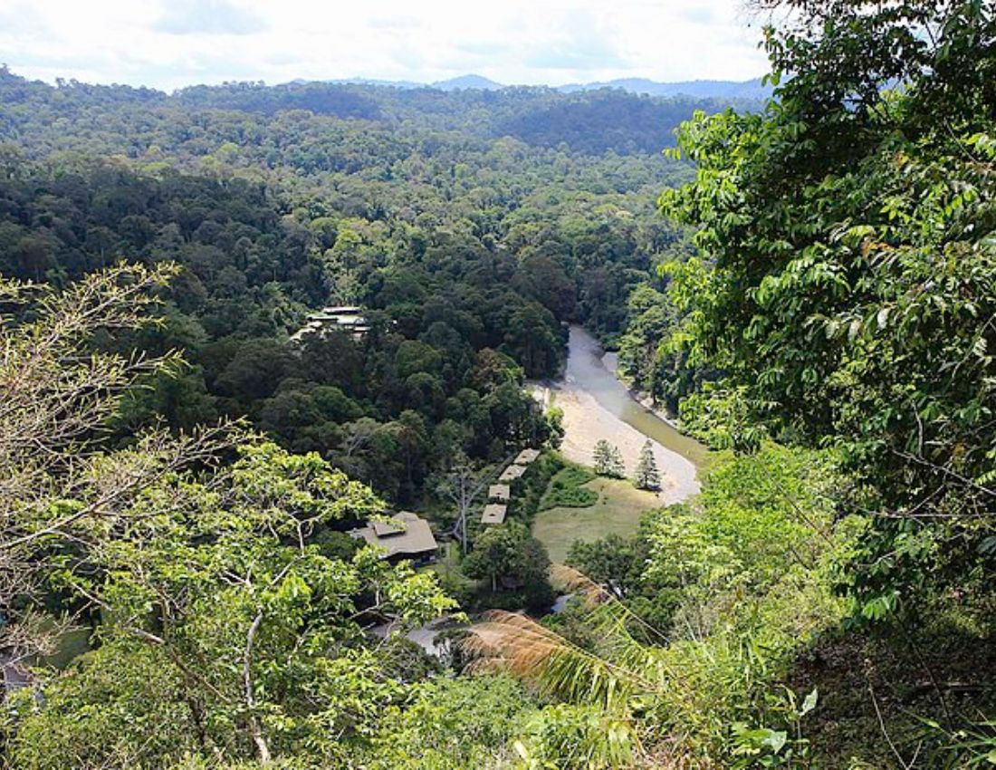 Borneo Rainforest Lodge