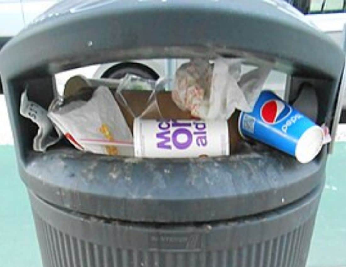 waste food