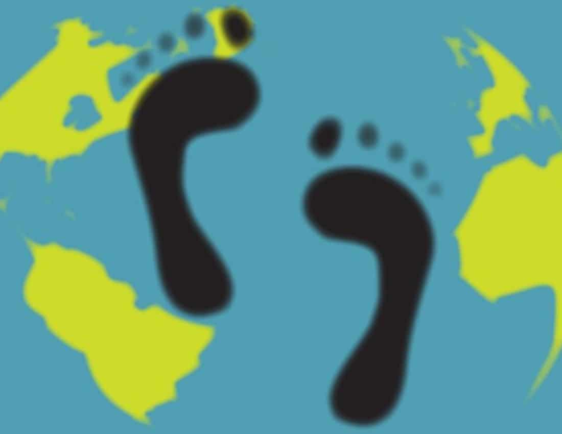 Carbon footprint representation