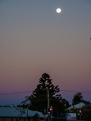 A tree and a light post
Description automatically generated with medium confidence