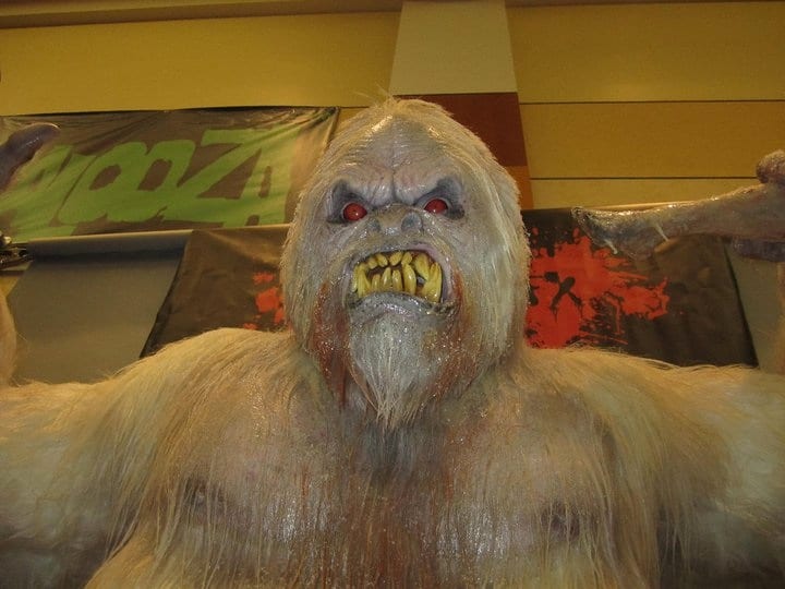 Yeti