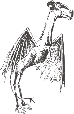 Jersey Devil