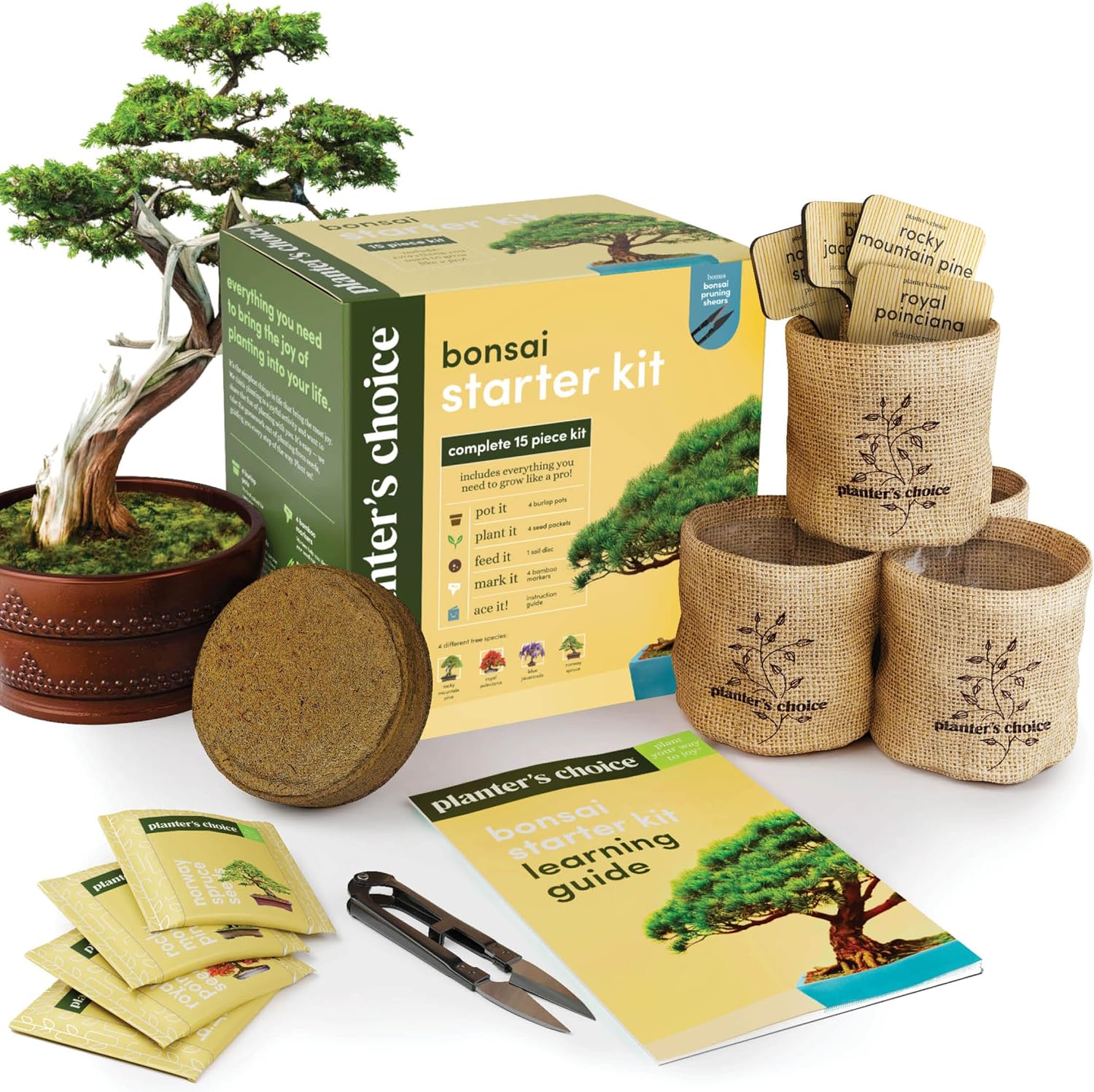 Bonsai Starter Kit - Gardening Gift