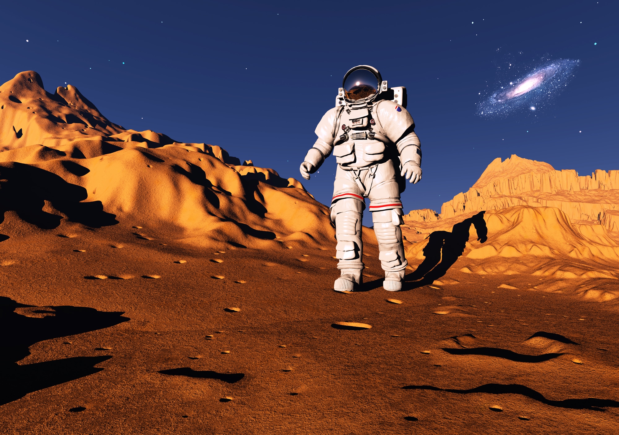 Astronaut on the planet.