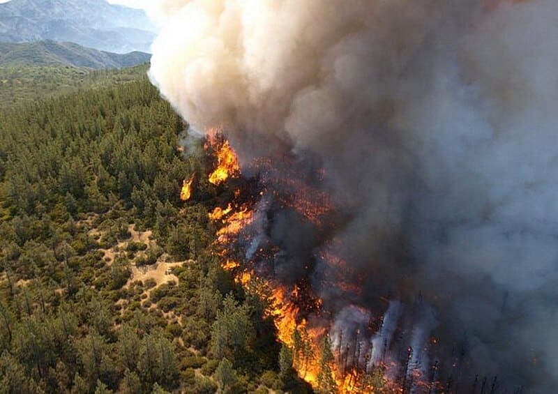 Wildfire_From_The_Air