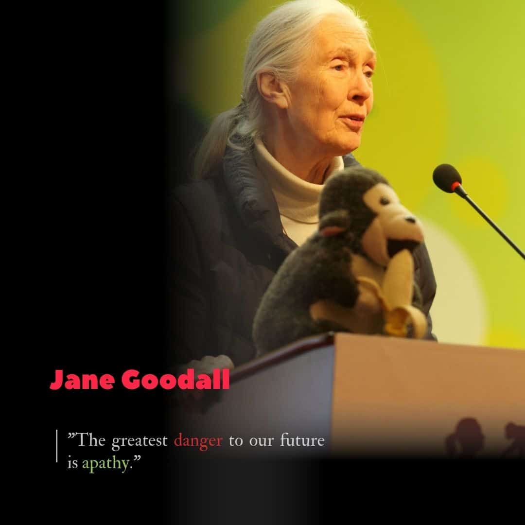 Jane Goodall