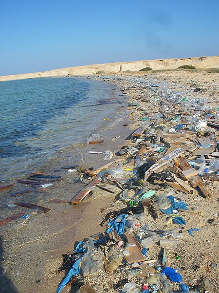Ocean litter washed up on a beach in Egypt