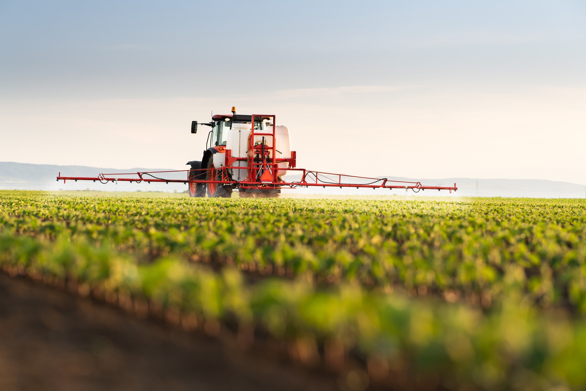 Tractor spraying soy field in sunset.
