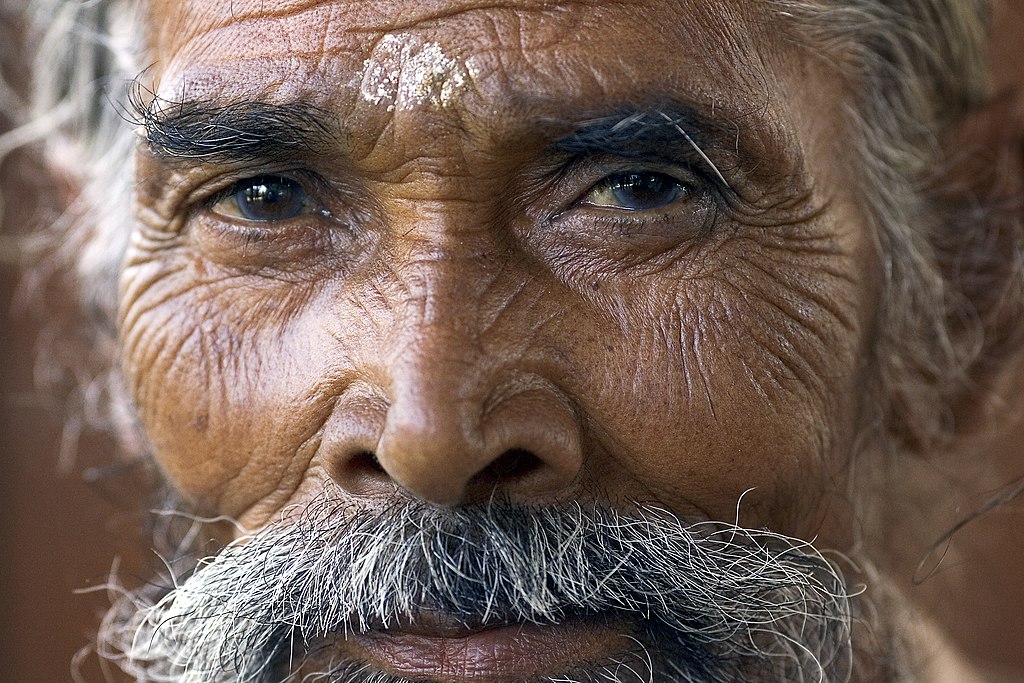 portrait of a man