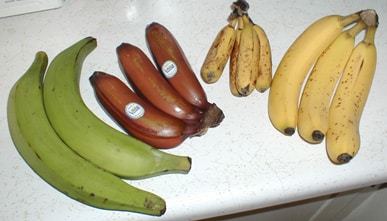 bananas