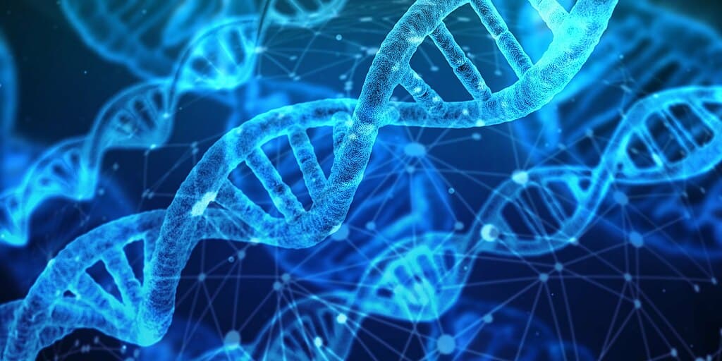 DNA_strands