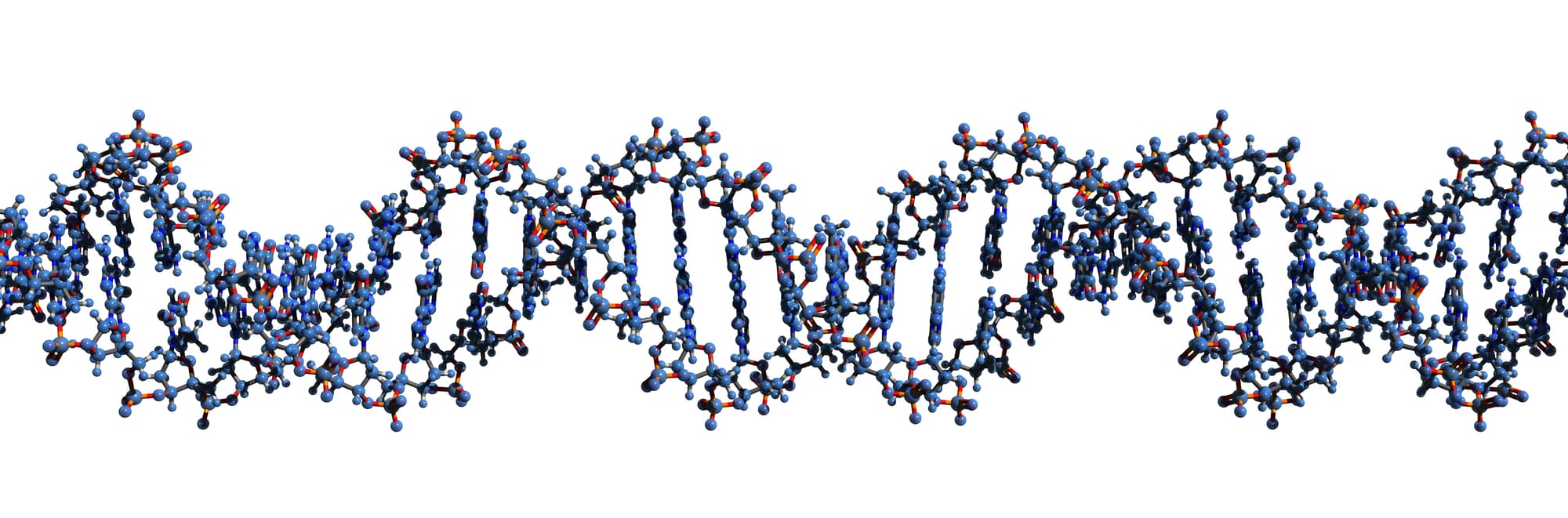 DNA strand