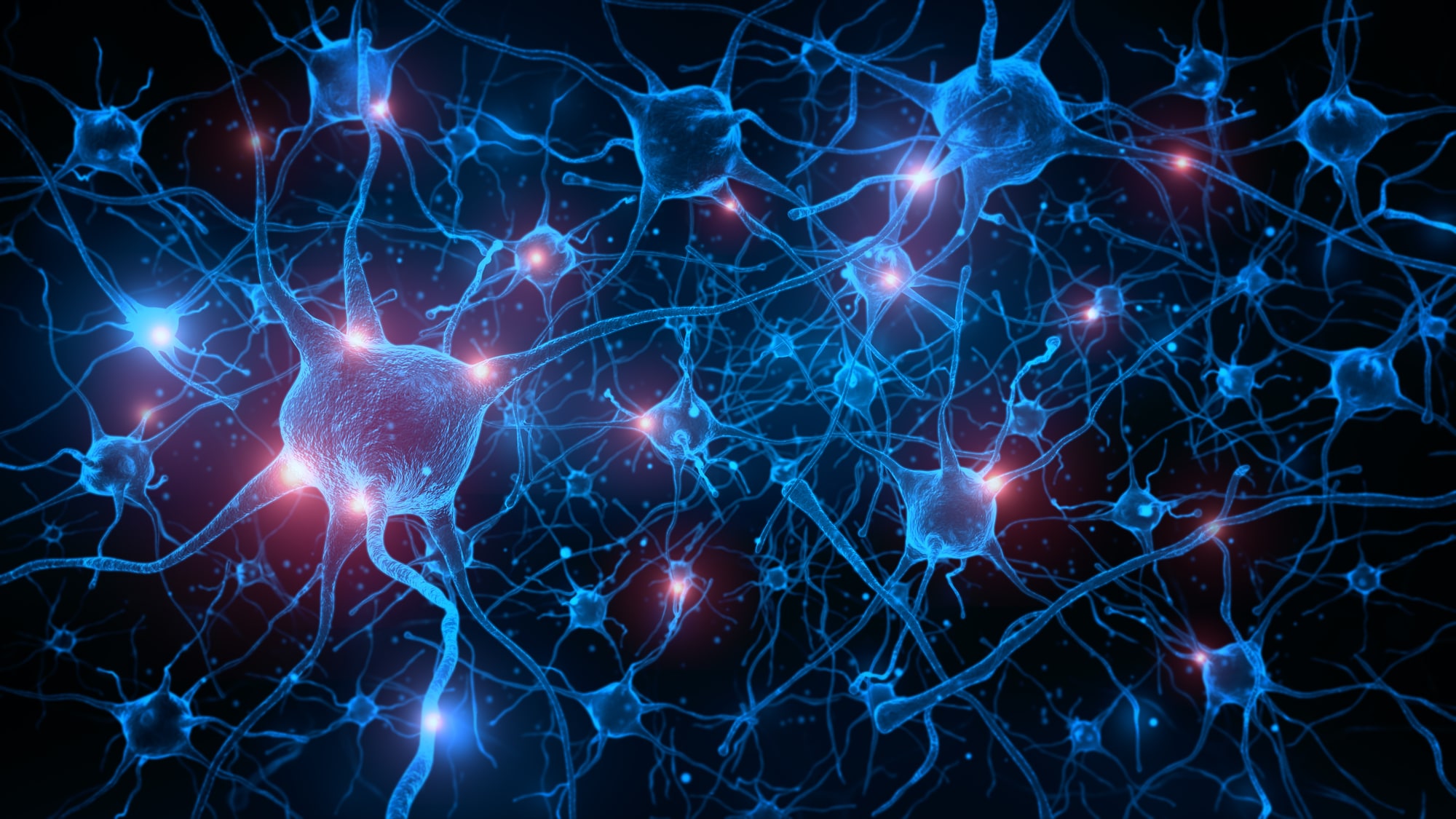 neuron cells