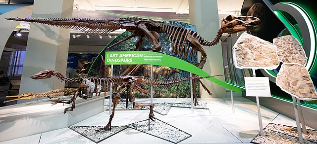 last dinosaurs found in the U.S