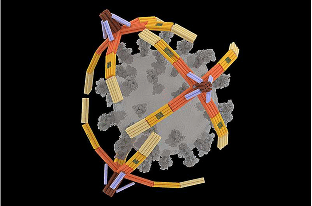 DNA