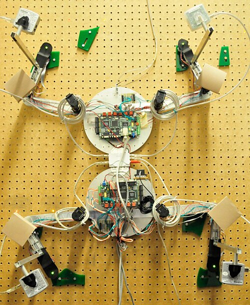Capuchin Free Climbing Robot