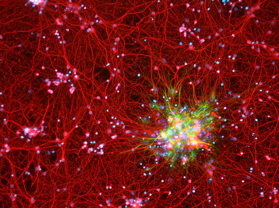 The_Galaxy_Within
