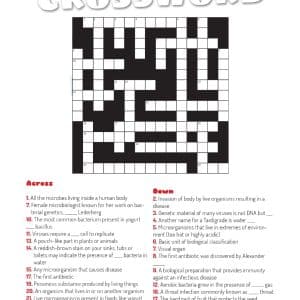 Crossword 9