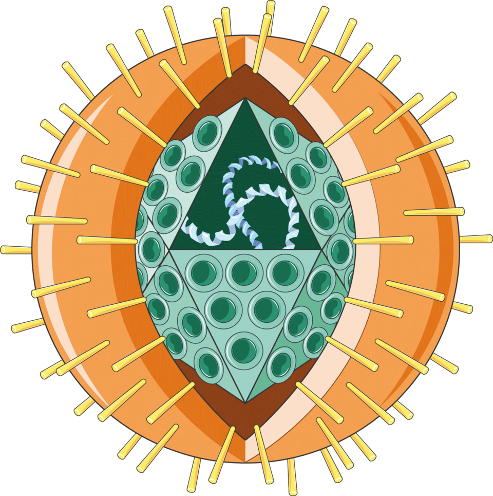Infectiology