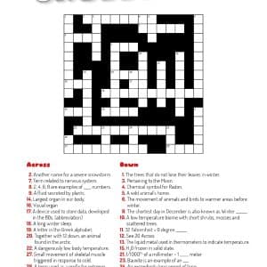 Crossword 12