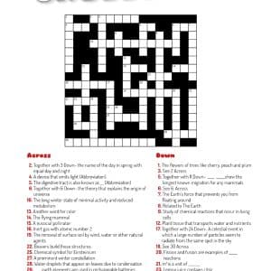 Crossword 13