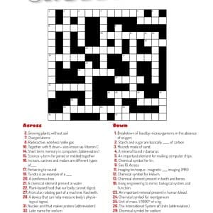 Crossword 15