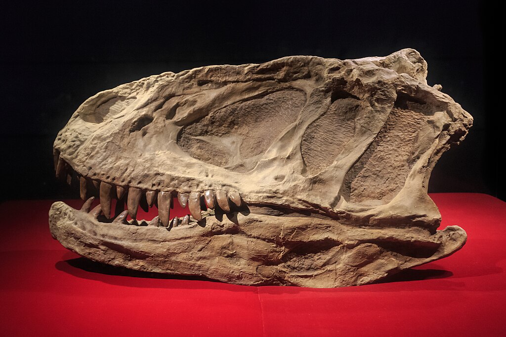 Zigong Dinosaur Museum