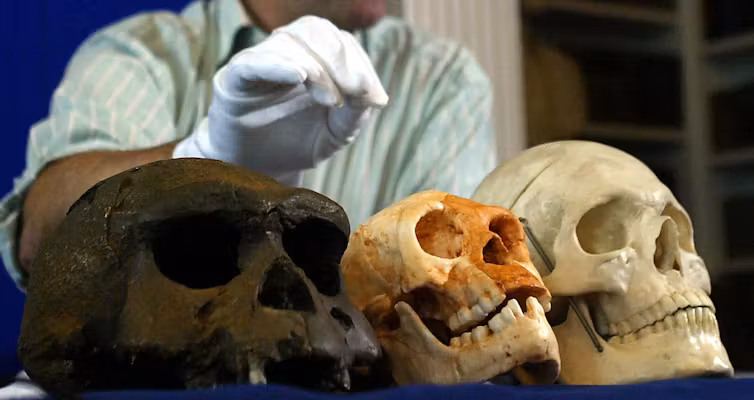 Hobbits are exceptions to the rule that older ancient humans