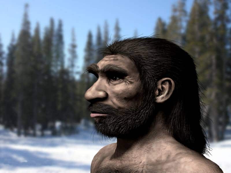 Homo longi