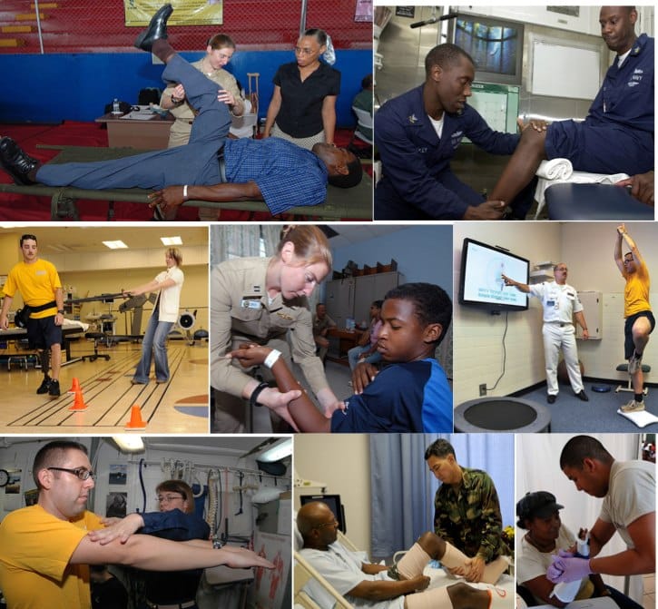 Physical Therapists