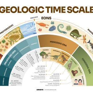 Geologic Time Line