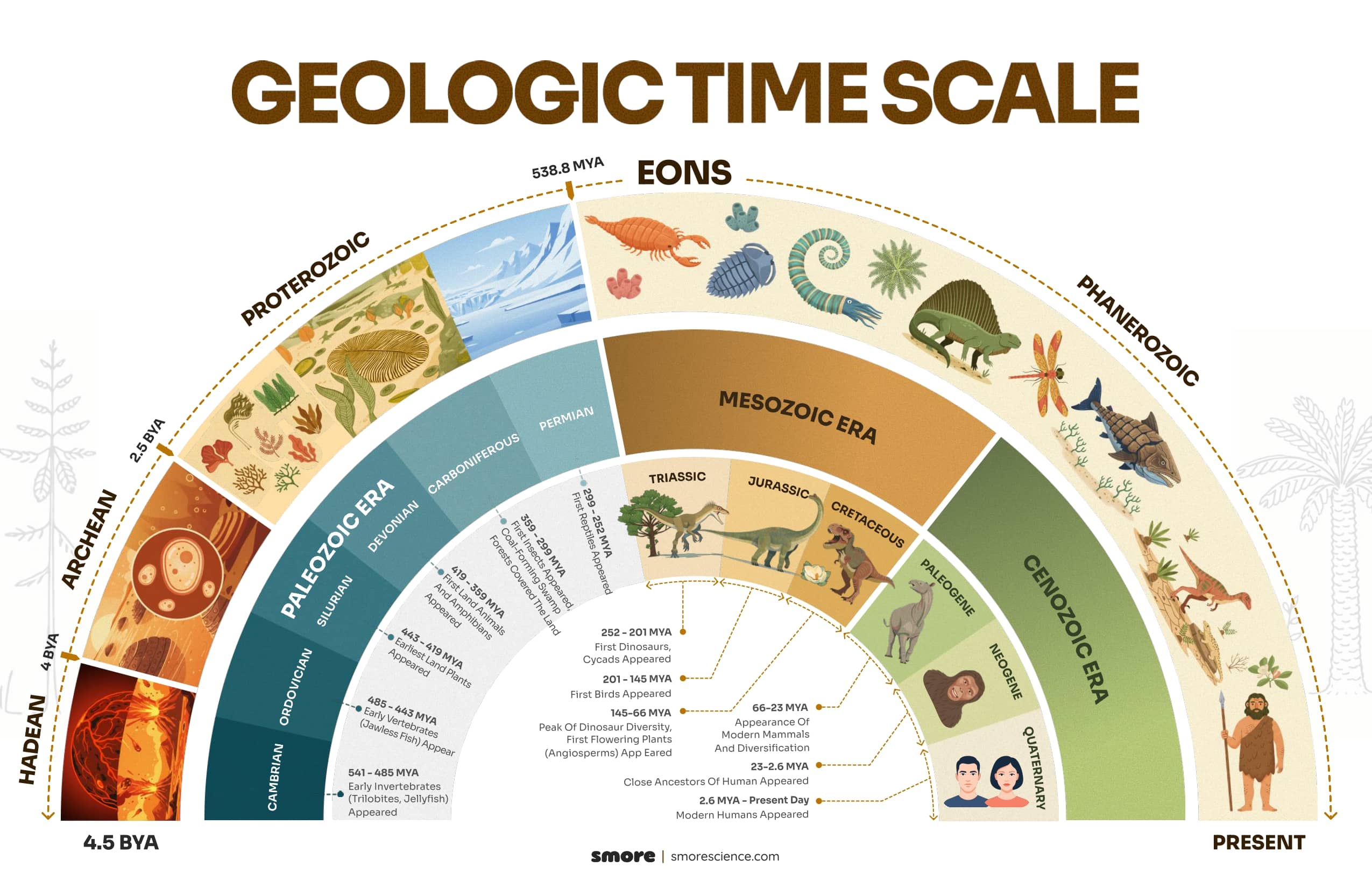 Geologic Time Line