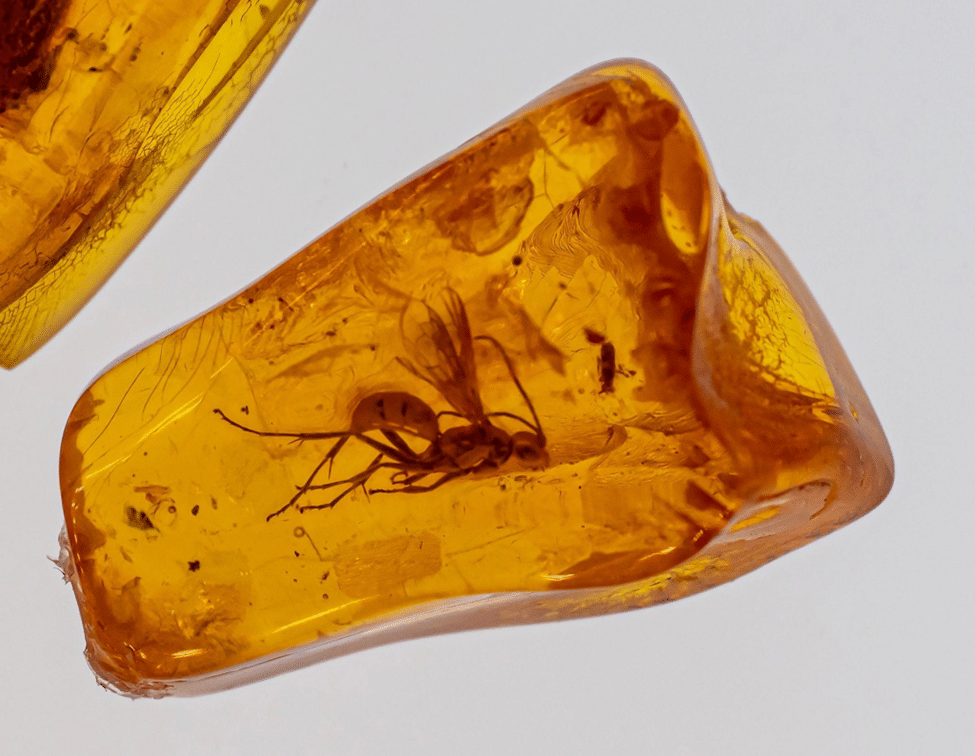 amber