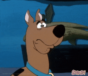 Shocked Dog